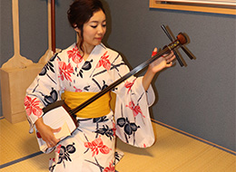 japanese string instrument shamisen